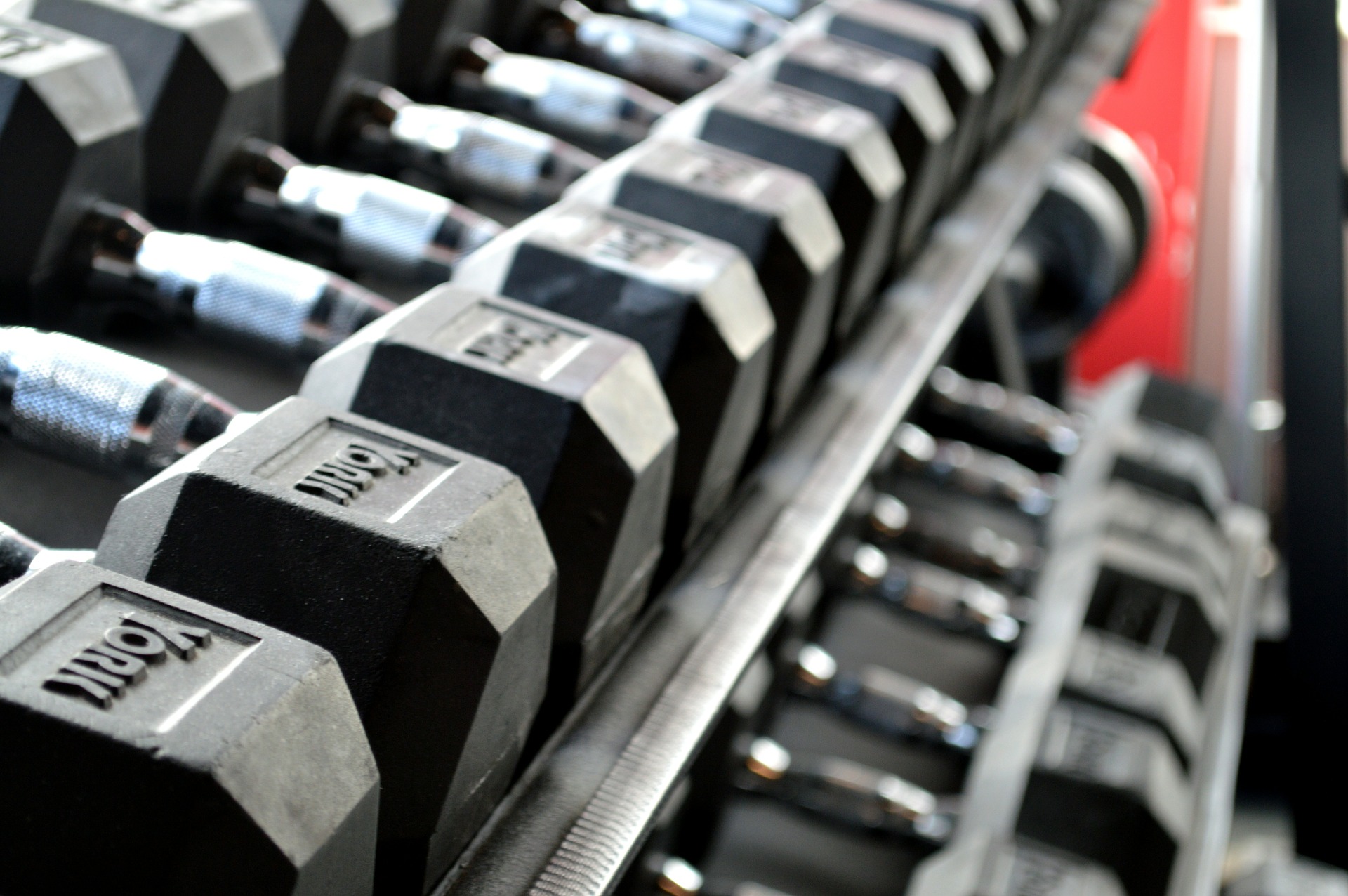 Weight Equipment at a Gym